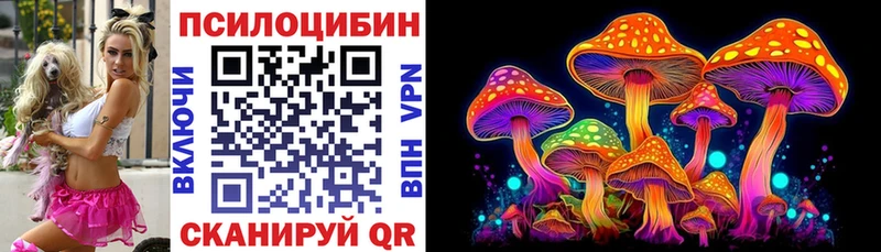 Псилоцибиновые грибы Psilocybe  Сим 